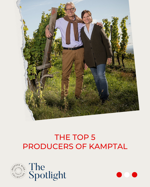 The Top 5 Producers of Kamptal