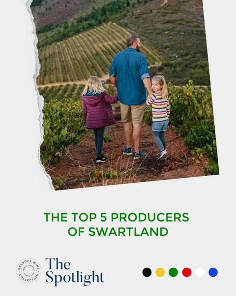 The Top 5 Producers from Swartland