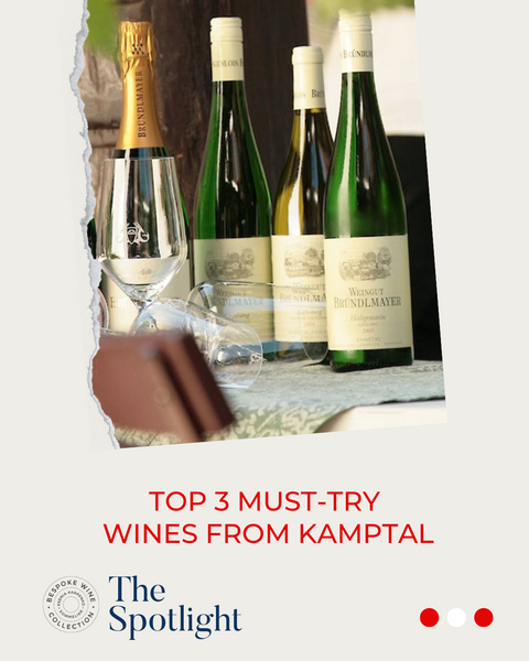 THE TOP 3 MUST-TRY WINES FROM KAMPTAL