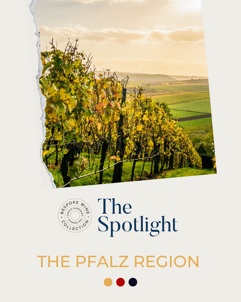 The Spotlight n°1 - The Pfalz Region