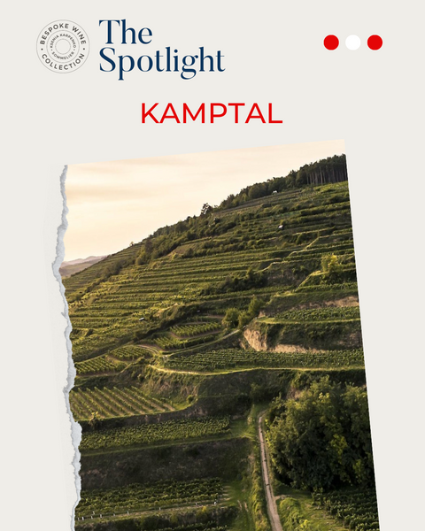 The Spotlight n°2 - Kamptal